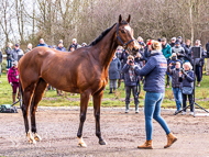 BP240223-59 - Unit Sixtyfour parades for his owners